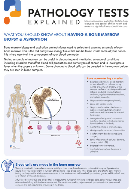 Bone marrow